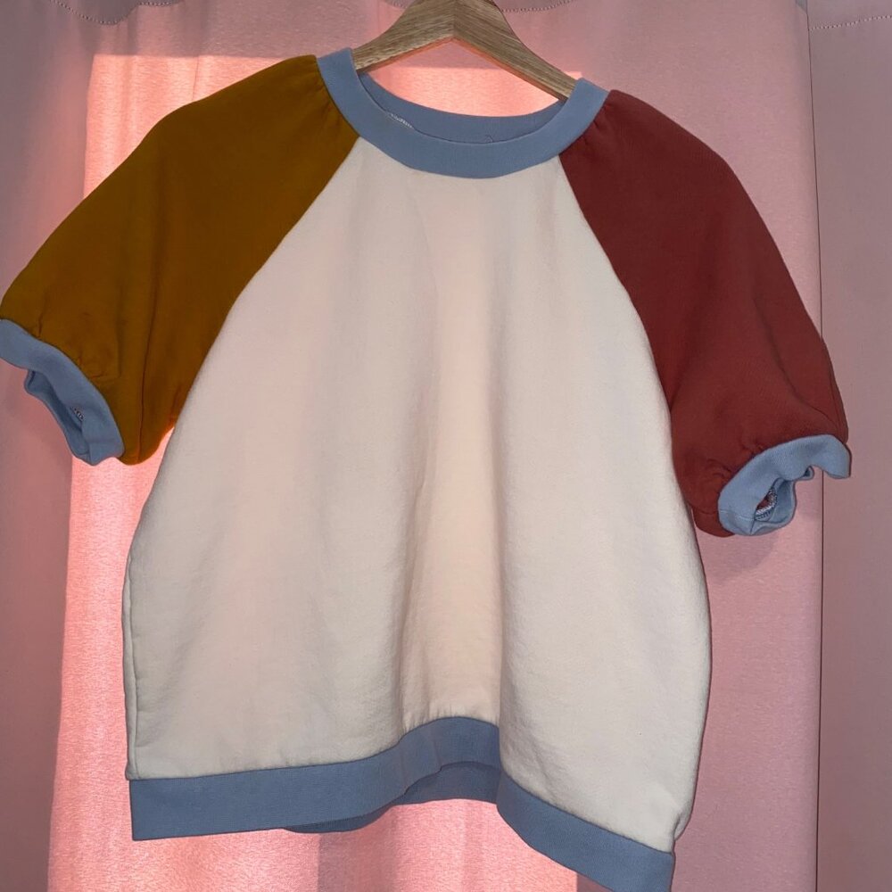 Colorblock Raglan Sleeve Madewell Puff Sleeve Short Sleeve Sweater Minimalist